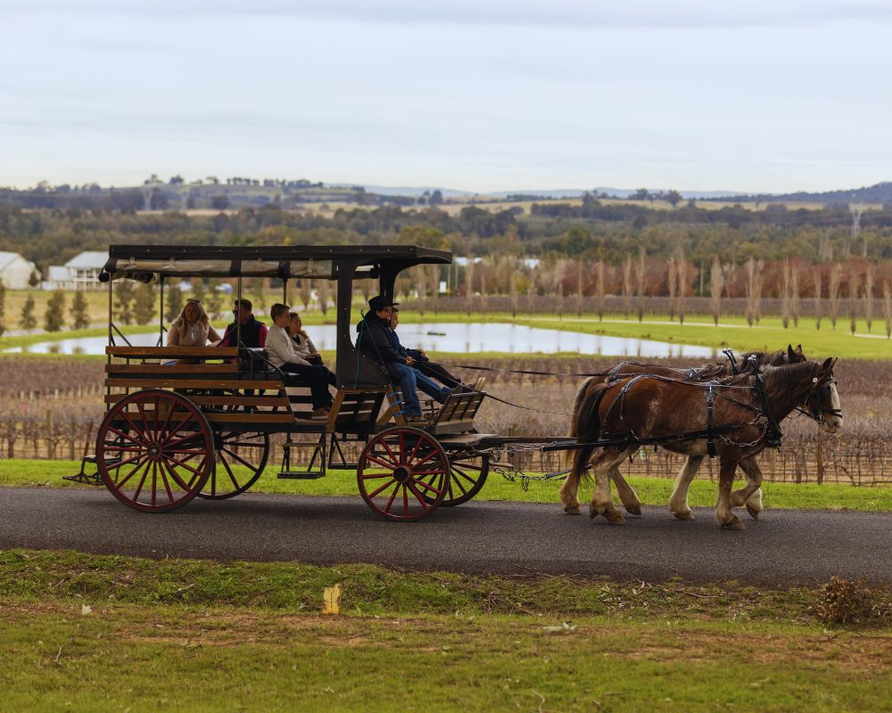 45-minute Horse-Drawn Carriage Ride – BE